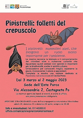 Pipistrelli: i folletti del crepuscolo