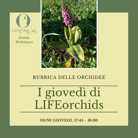 I giovedì di LIFEOrchids 