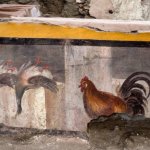 Il gallo del Termopolio di Pompei - Foto p.g.c. Unione Monregalese