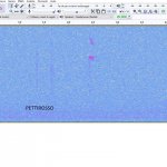 Esempio di scheda audio con la registrazione del canto del pettirosso - p.g.c. GPSO