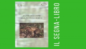 Atlante degli anfibi della Provincia di Siena (1999-2004)