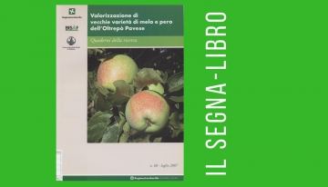 Valorizzazione di vecchie varietà di melo e pero dell&#039;Oltrepò Pavese