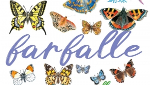 Le farfalle delle Alpi Cozie nel calendario 2020 del parco