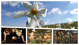 Nella foto: fiore di Narciso (R. Amelotti)  e da sinistra, il mito di Narciso nel dipinto di Caravaggio, di J. W. Waterhouse e di Salvador Dalì )