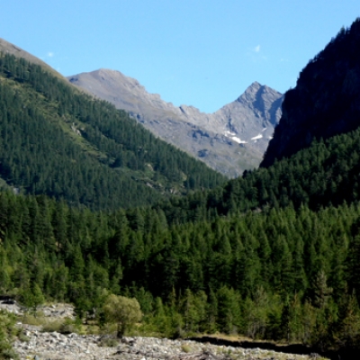 la Val troncea e il Monte Barifreddo foto A.Molino