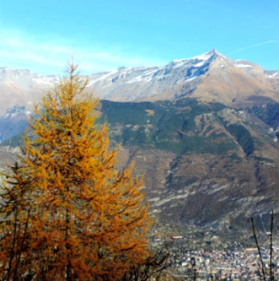 Rocciamelone in autunno, Val di Susa foto di Loredana Matonti
