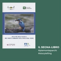 Atlante degli uccelli del Parco lombardo della Valle del Ticino.