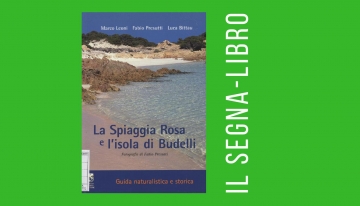 La Spiaggia Rosa e l&#039;Isola di Budelli