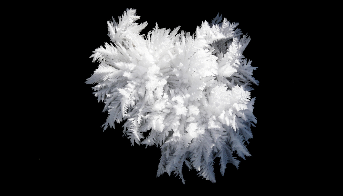 La perfezione strutturale di un fiocco di neve  - Foto B. Usseglio