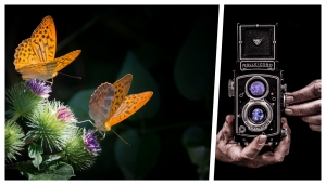Le imprese di Roberto Omegna e le prime riprese di insetti e animali