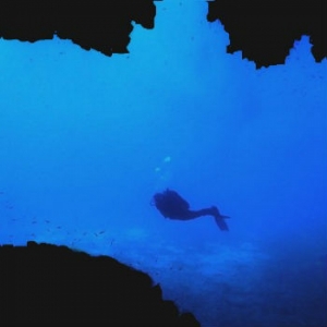 Guide subacquee, alla scoperta dei fondali del Parco dell&#039;Arcipelago Toscano