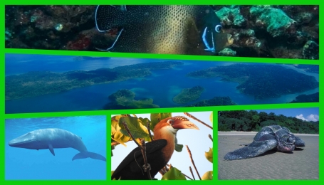 Il paradiso perduto nell&#039;arcipelago delle Andamane