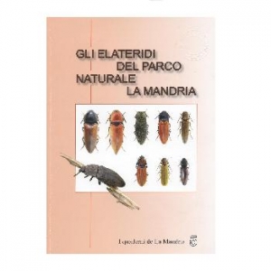 Gli Elateridi del Parco naturale La Mandria (Coleoptera, Elateridae).