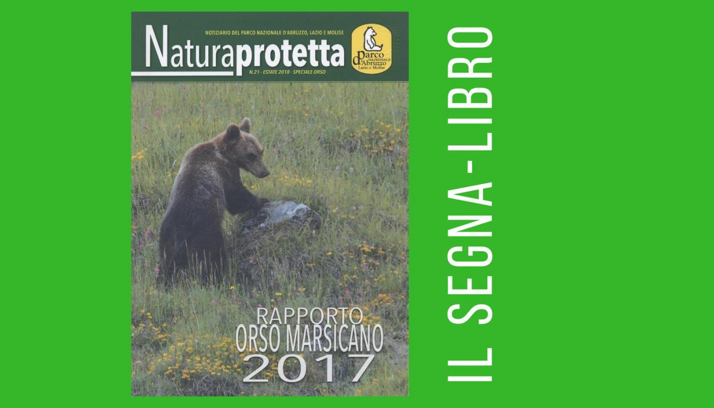 Rapporto orso marsicano 2017