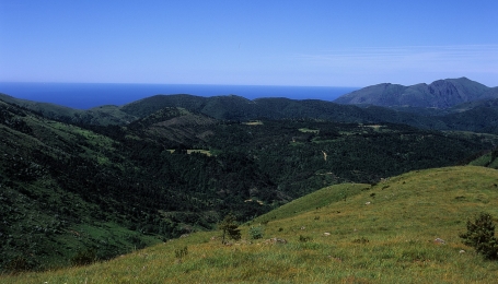 Veduta del mare dal Monte Campora - Archivio EGAP Appennino piemontese
