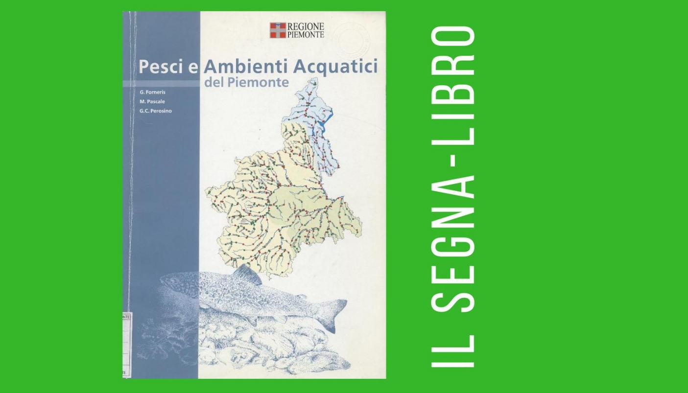 Pesci e ambienti acquatici del Piemonte