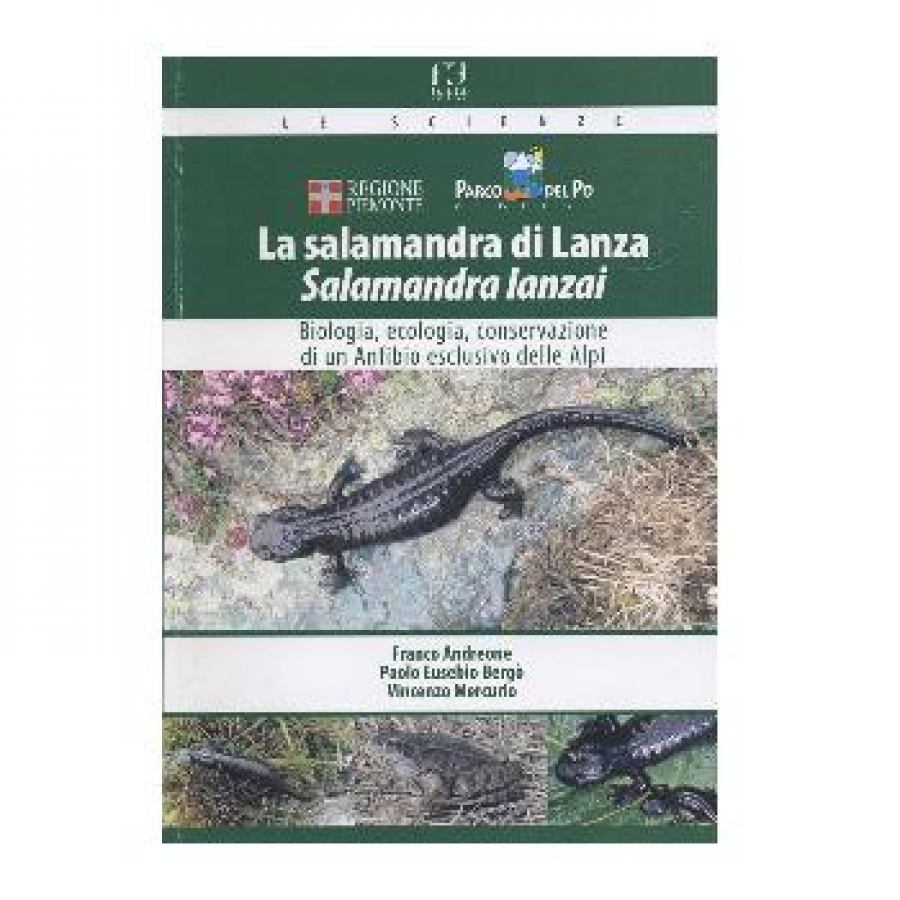 La salamandra di Lanza (Salamandra Lanzai). Biologia, ecologia, conservazione di un anfibio esclusivo delle Alpi.