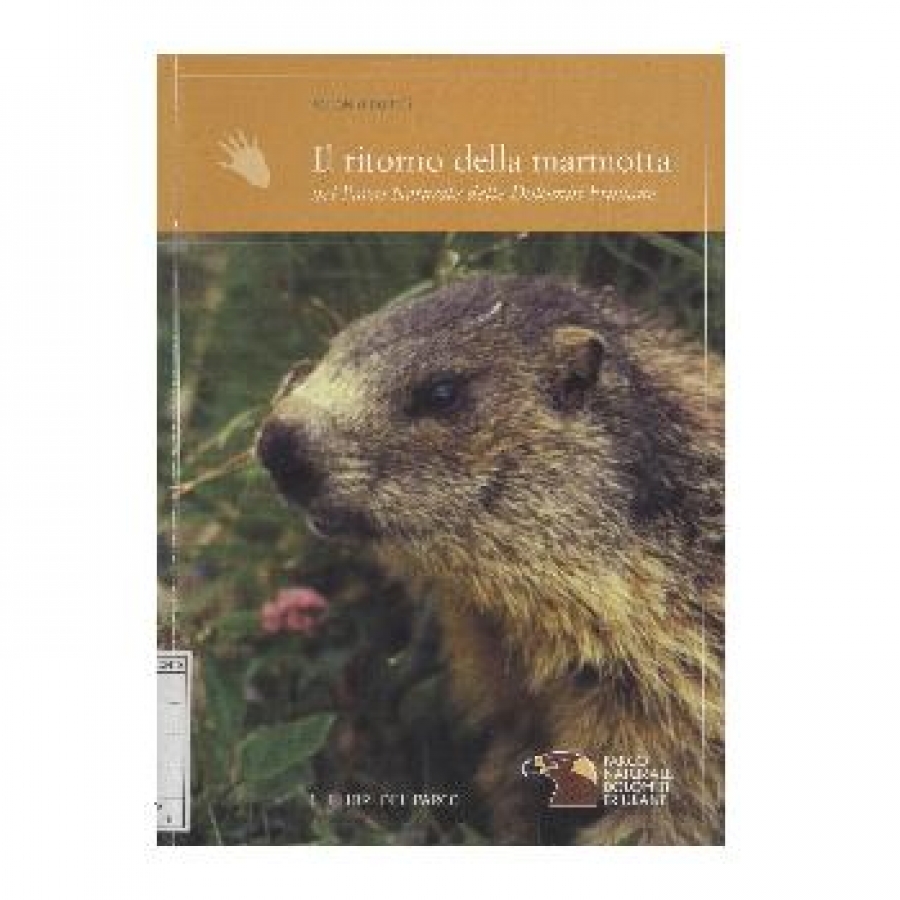 Il ritorno della marmotta nel Parco naturale delle Dolomiti Friulane.