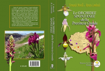 Le orchidee spontanee della Provincia Granda