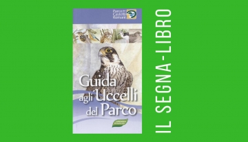 Guida agli uccelli del parco