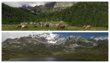 Vedute del Parco Alpe Veglia (in alto) e dell&#039;Alpe Devero (sotto) - Foto T. Farina
