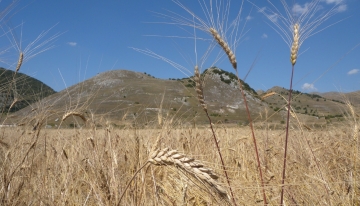 Formare gli agricoltori del futuro guardando alla tradizione