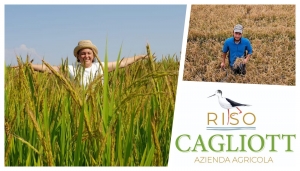 Azienda Agricola Scagliotti, ovvero il buon riso di Natura 2000