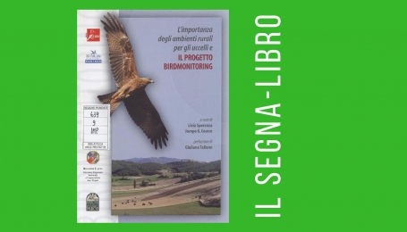 L&#039;importanza degli ambienti rurali per gli uccelli e il progetto Birdmonitoring