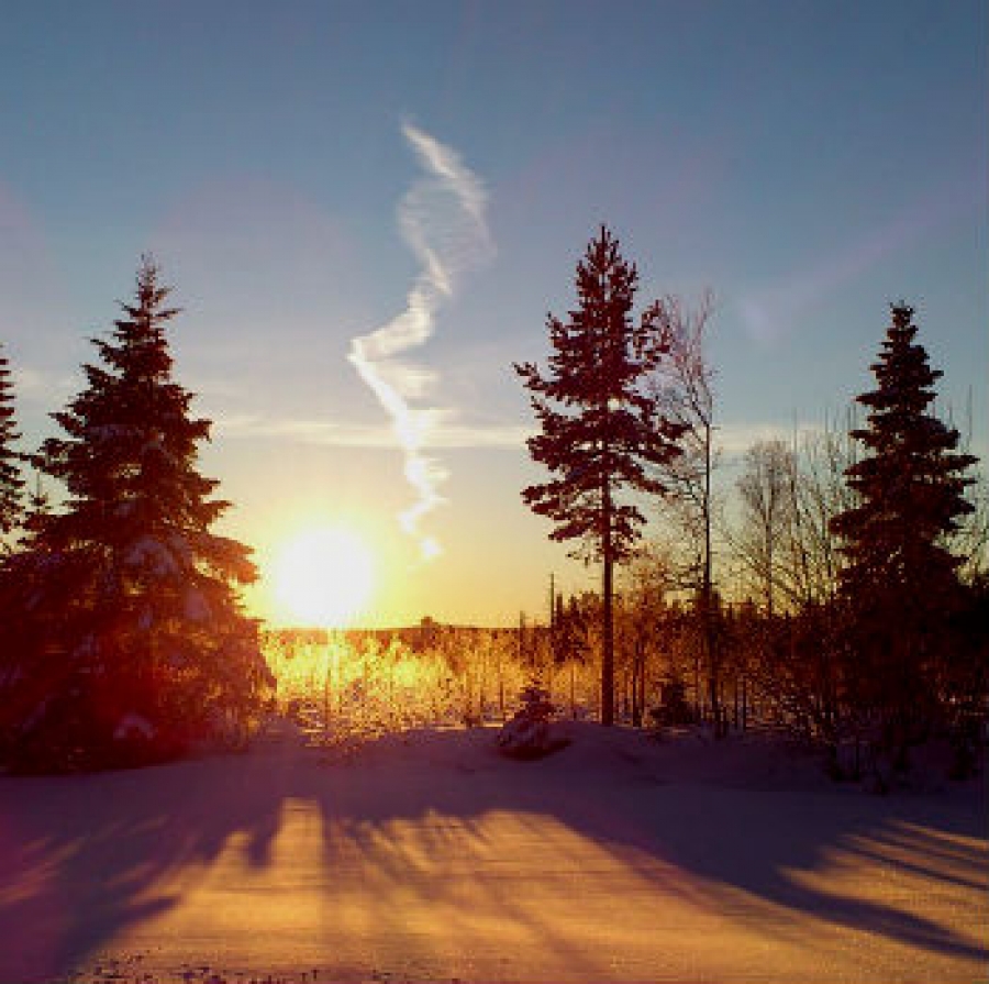 Solstizio di inverno sulla neve Fonte: https://pixabay.com/it/inverno-solare-neve-paesaggi-769315/