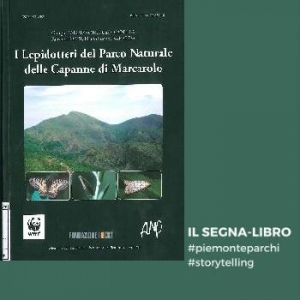 I lepidotteri del Parco naturale delle Capanne di Marcarolo.
