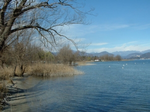 Parco naturale Ticino e Lago Maggiore