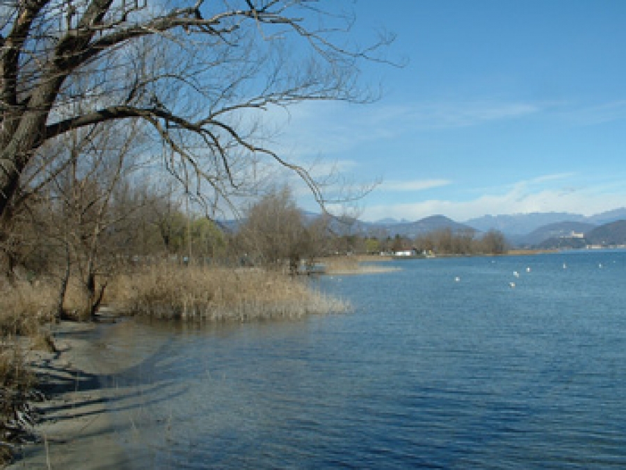 Parco naturale Ticino e Lago Maggiore D. Vassura