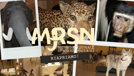 Riapre a Torino il Museo regionale di Scienze naturali