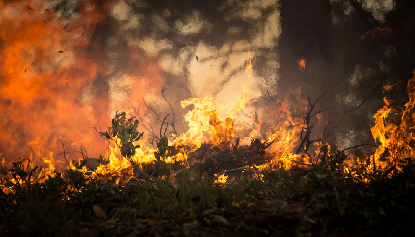 A 20 anni dall'incendio del Parco Monte San Giorgio