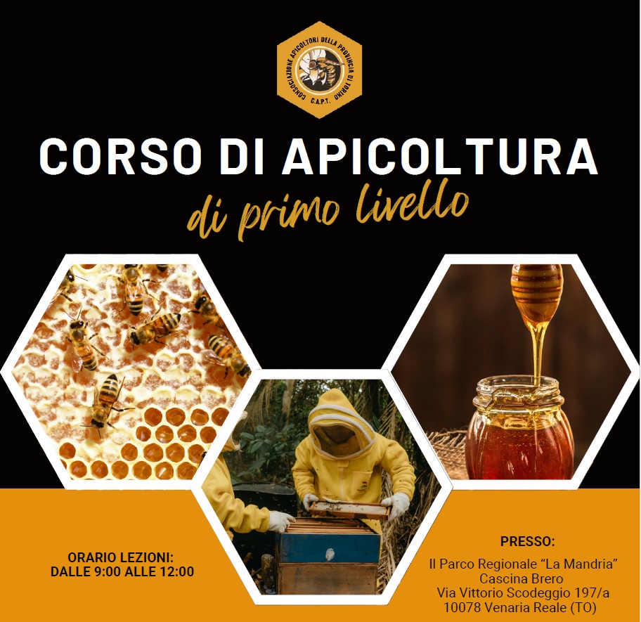 Corso di apicoltura di 1° livello 2026