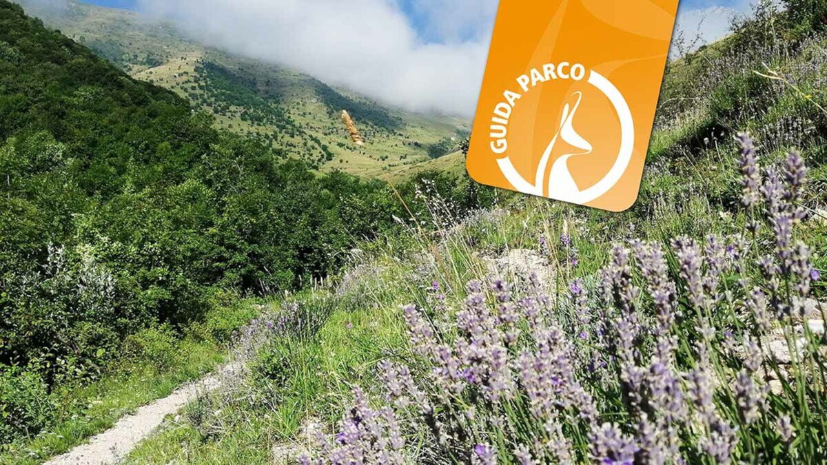 Escursione al Bosco Bandito