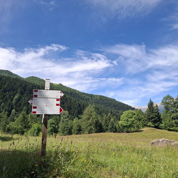 Aper-Avifauna al Frais