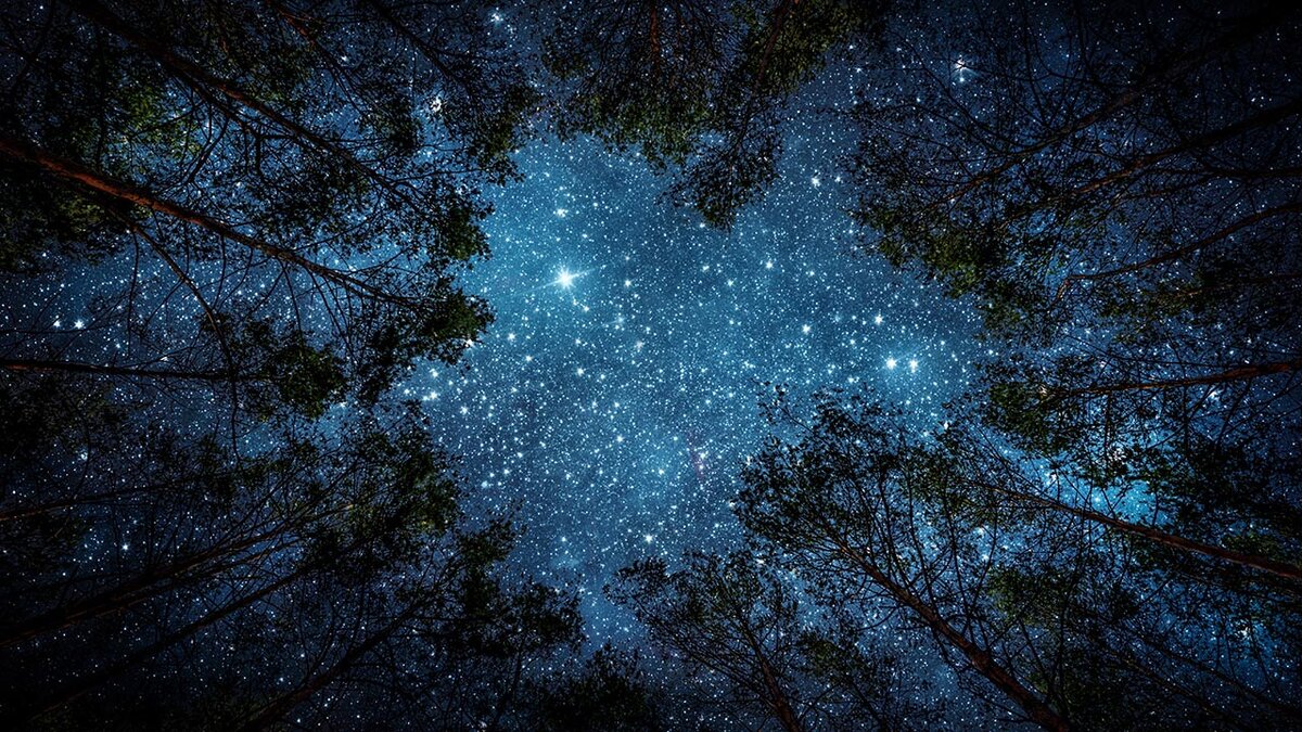 Dentro la notte. Alla ricerca del buio e delle sue meraviglie
