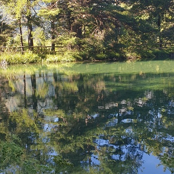 Natura in musica, en bas