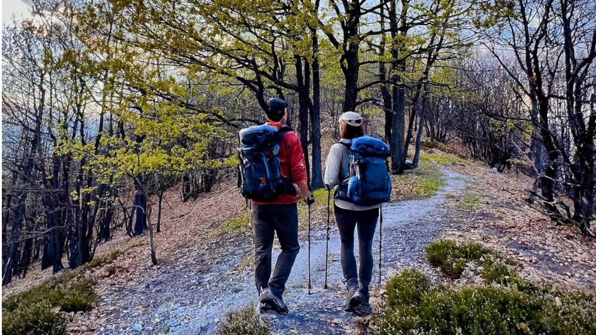 Presentazione del nuovo portale "A zonzo in Valle Pesio"