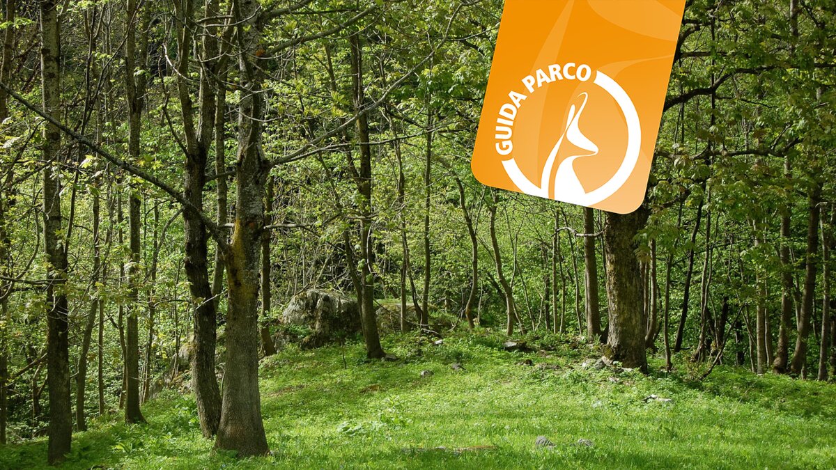 Immersi nelle Marittime