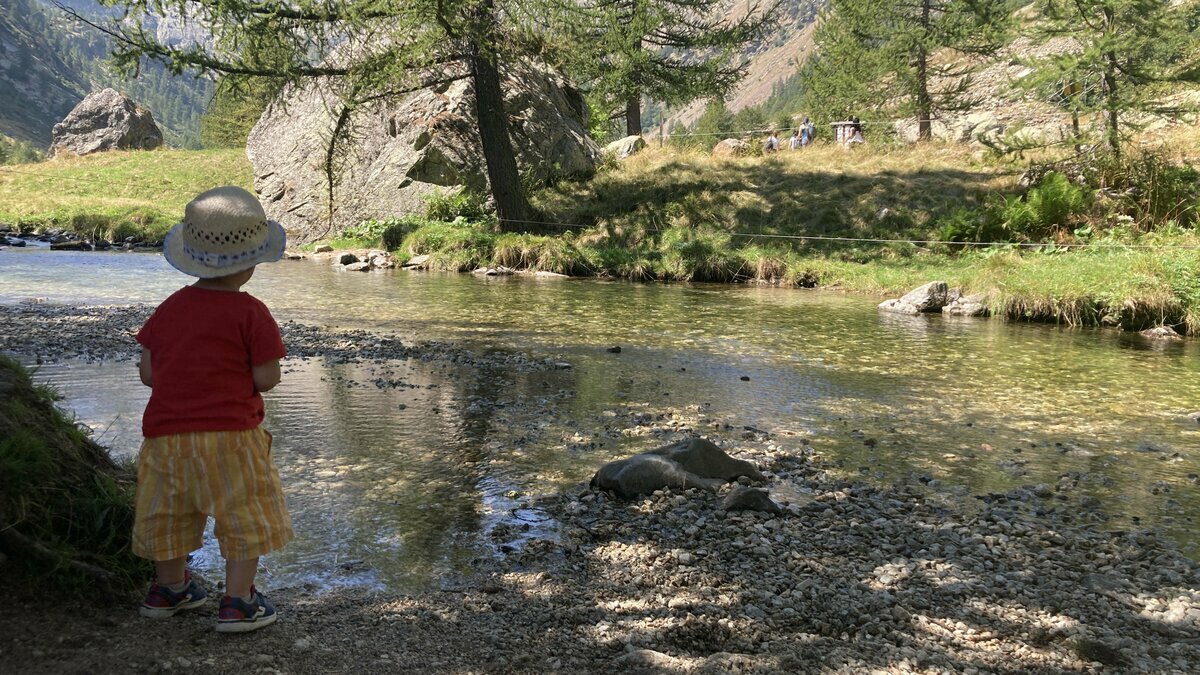 Progetto Natura Maestra