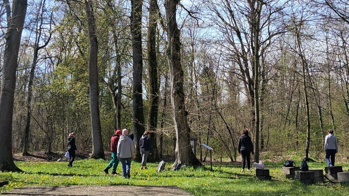 Progetto O.A.S.I. Natura: Mi riconnetto, viaggio verso la meraviglia
