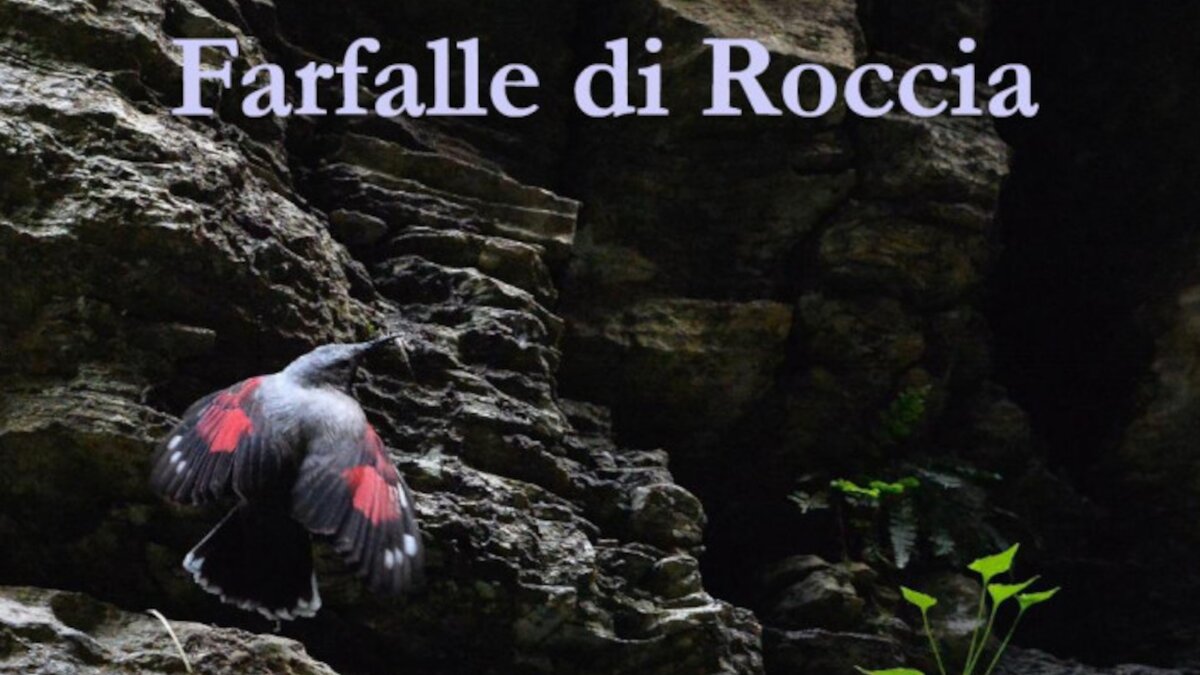 Presentazione libro: Farfalle di roccia