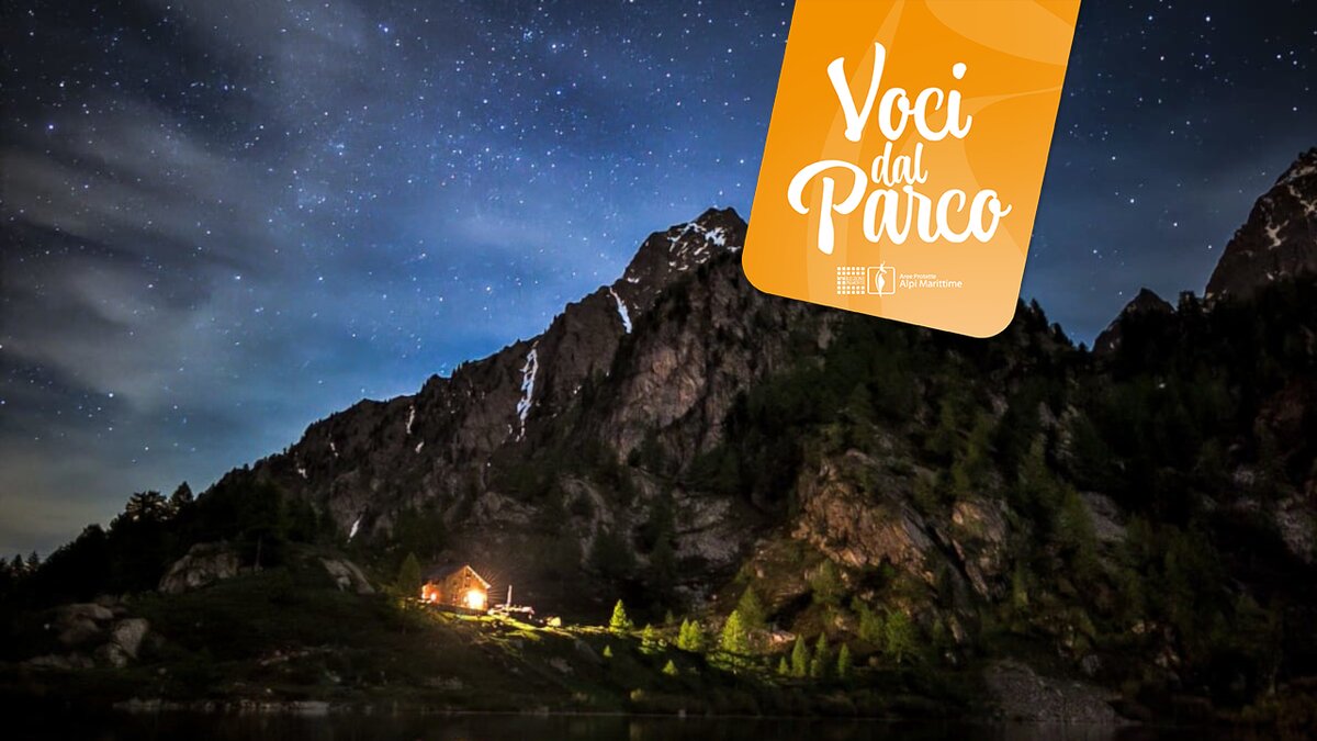 Stelle in rifugio: biodiversità notturna e osservazione del cielo