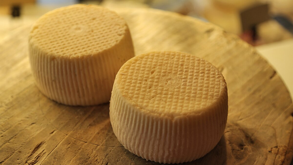 I formaggi delle Aree Protette Alpi Marittime