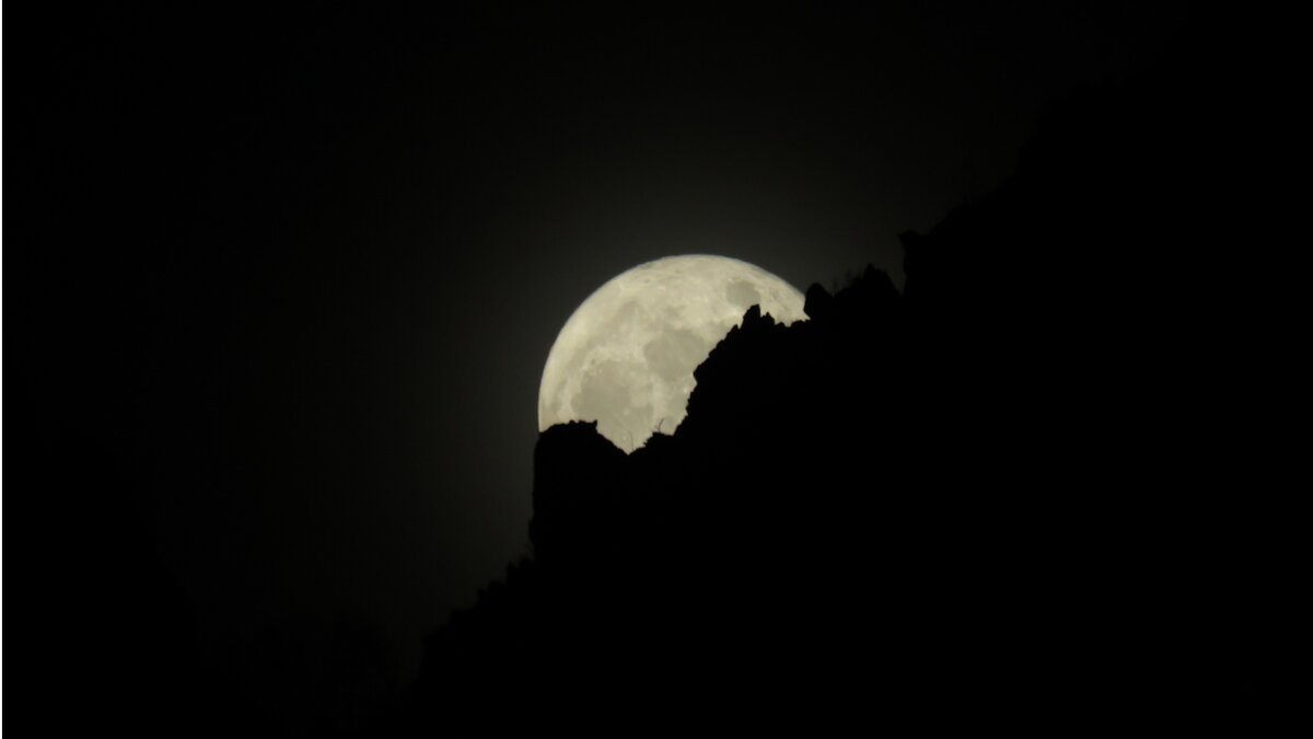 Una notte da lupi. Visita guidata al Centro Faunistico Uomini e Lupi