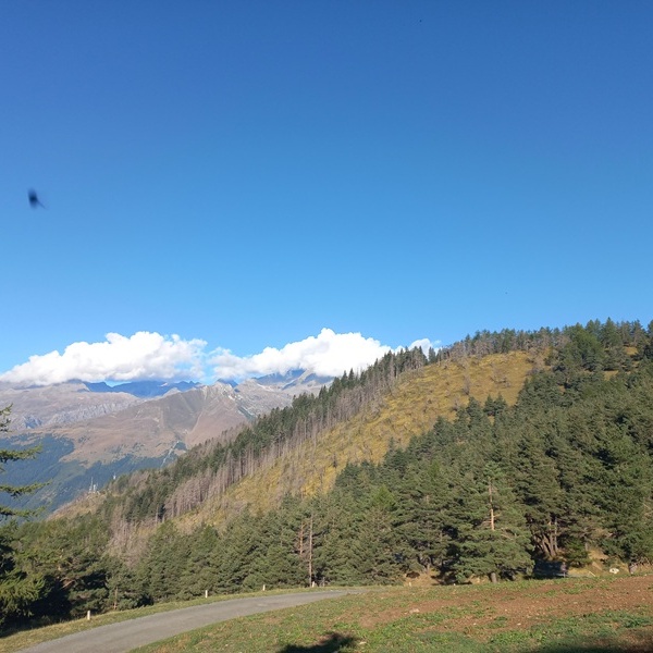 BiodivTourAlps: per sguardi e passi più consapevoli - escursione finale