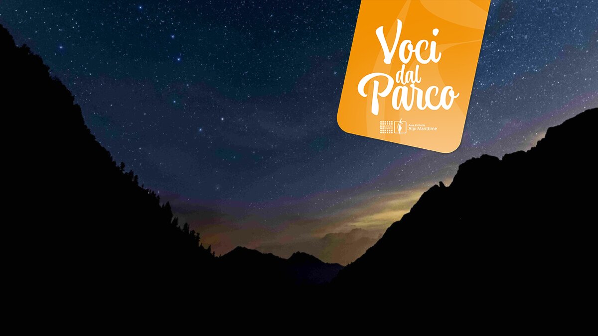 Serata "al denaro, alla salute, al cielo (e anche all'amore)