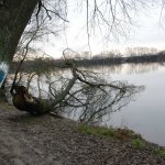 I segnavia blu | Foto AM Bruno